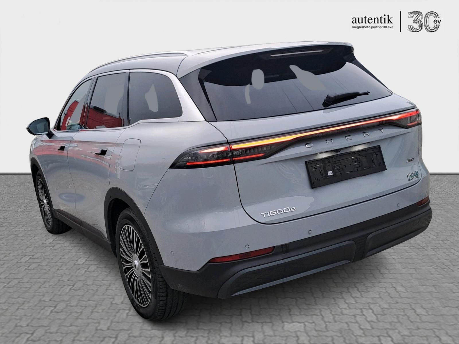 CHERY TIGGO 9